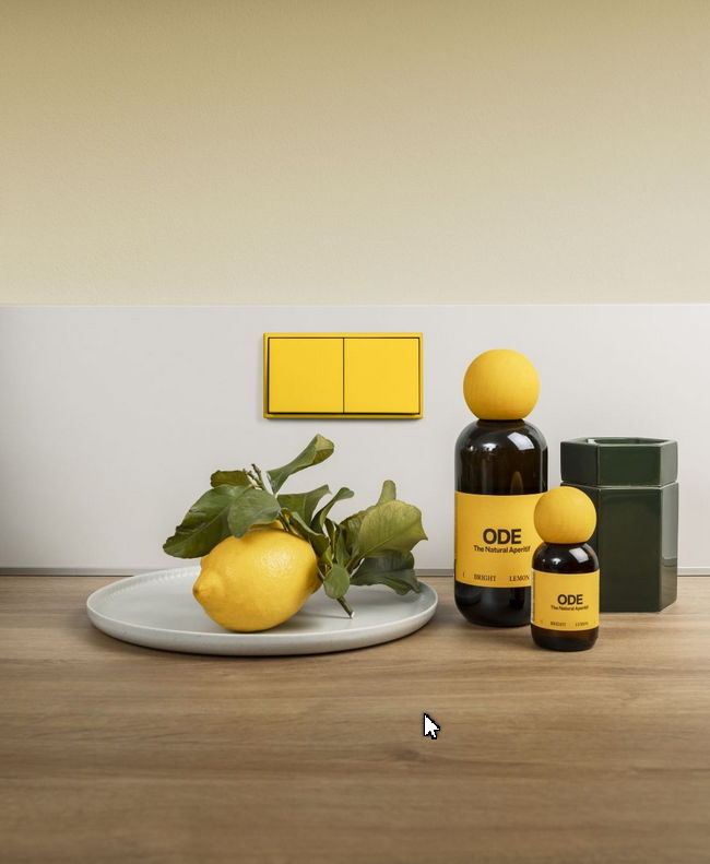 Switsch Design mit JUNG Schaltertechnik